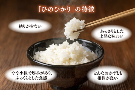 【令和7年産】ごはんソムリエが厳選 白米 ひのひかり 5kg(H063155)