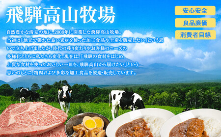本格4種のカレー食べ比べ  180g×4袋 | レトルト カレー HG013