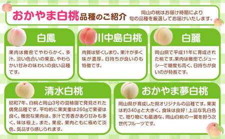 岡山白桃 エース 約2.4kg 株式会社はちや 桃 【配送不可地域あり】