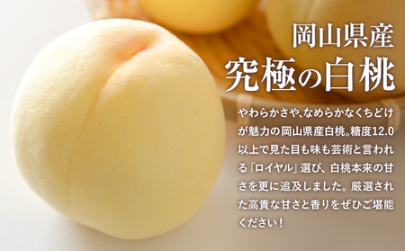 岡山白桃 シャインマスカット 計1.2kg 詰合せ 株式会社はちや【配送不可地域あり】