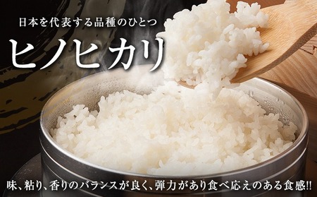 令和7年産 ヒノヒカリ 計3kg お米 ご飯 ライス 国産 数量限定 人気 食品 精米 白米 ひのひかり 有洗米 おにぎり お弁当 炊き込みご飯 雑炊 ギフト プレゼント 贈り物 お取り寄せ 産地直送 宮崎県 日南市 送料無料_A100-25