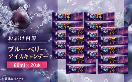 久保田食品 ブルーベリーアイスキャンデー 20本入 添加物不使用 / アイス アイスキャンデー アイスクリーム 冷凍 ブルーベリー ベリー 果物 フルーツ セット デザート スイーツ 【グレイジア株式会社】[ATAC599]