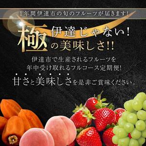 年中受付 福島県産 極・伊達なフルーツ定期便 (ミニ) 全4回 桃 あかつき シャインマスカット あんぽ柿 いちご とちおとめ 定期便 伊達の桃 もも モモ 果物 くだもの フルーツ 国産 名産 食品  F21C-247