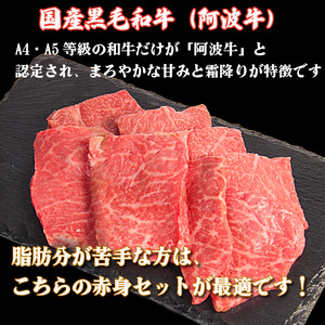 阿波牛 赤身焼肉セット 600g 冷凍 国産 黒毛和牛