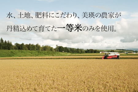 ななつぼし 10kg 一等米 ≪令和7年産 ≫ 北海道産ななつぼし 美瑛町  [036-48]