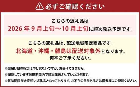 瀬戸ジャイアンツ 2房 （1房480g以上） 合計約1kg 化粧箱入り 【2026年9月上旬～10月上旬まで発送予定】 ／ マスカット 葡萄 ぶどう 果物 果実 フルーツ 皮ごと 岡山県 美咲町 冷蔵
