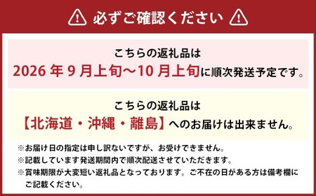 詰合 ／ ニューピオーネ 2房 ・ シャインマスカット 晴王 2房 （1房各480g以上） 化粧箱入り 【2026年9月上旬～10月上旬迄発送予定】／ 葡萄 ぶどう マスカット 果物 果実 フルーツ 種なし 詰め合わせ 詰合せ 岡山県 美咲町 冷蔵