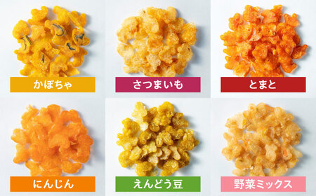 Softbits ドッグフード アソート野菜 （40g×6P）/ ドッグフード 犬 いぬ ドッグ おやつ ペットフード / 大村市 / サポート[ACAM005]