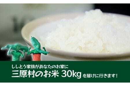 ししとう家族の宅配便?