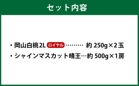 岡山県産 岡山白桃 ロイヤル 2Lサイズ 約250g×2玉・シャインマスカット 晴王 約500g×1房 詰合せ 【2026年7月上旬～8月下旬発送予定】 白桃 桃 もも モモ マスカット ぶどう 葡萄 ブドウ セット