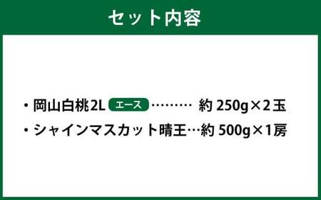 岡山県産 岡山白桃 エース 2Lサイズ 約250g×2玉・シャインマスカット 晴王 約500g×1房 詰合せ 【2026年7月上旬～8月下旬発送予定】 白桃 桃 もも モモ マスカット ぶどう 葡萄 ブドウ セット