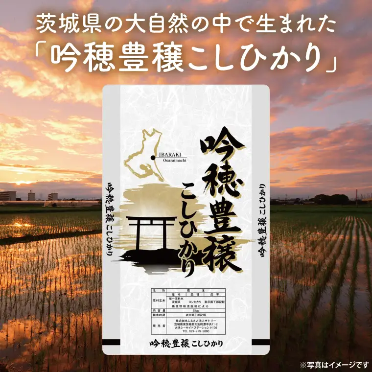 ＜令和7年産＞ 吟穂豊穣こしひかり 2kg 精米 コシヒカリ こしひかり 米 ごはん コメ お米 白米 国産 茨城県産_EG021