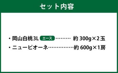 岡山県産 岡山白桃 エース 3Lサイズ 約300g×2玉・ニューピオーネ 約600g×1房 詰合せ 【2026年7月上旬～8月下旬発送予定】 白桃 桃 もも モモ ピオーネ ぶどう 葡萄 ブドウ セット