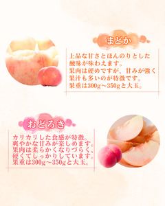 【2026年8月順次発送】平泉町産桃 約2.5kg (7～10玉) おどろき【dma501-od】