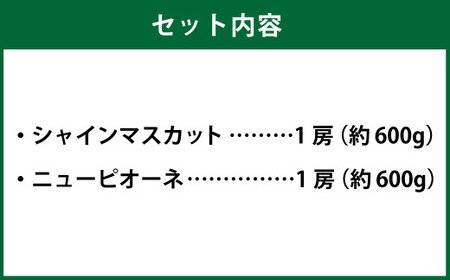 岡山県産 シャインマスカット 晴王・ニューピオーネ 3Lサイズ 計約1.2kg 詰合せ 【2026年6月下旬～7月下旬発送予定】 各1房 マスカット ピオーネ ぶどう 葡萄 ブドウ 種なし セット