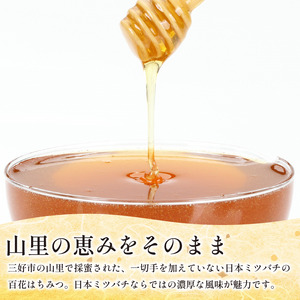 日本みつばち 蜂蜜1kg はちみつ 山里の和蜜 【 はちみつ 】