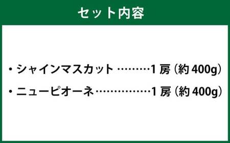 岡山県産 シャインマスカット 晴王・ニューピオーネ Lサイズ 計約800g 詰合せ 【2026年6月下旬～7月下旬発送予定】 各1房 マスカット ピオーネ ぶどう 葡萄 ブドウ 種なし セット