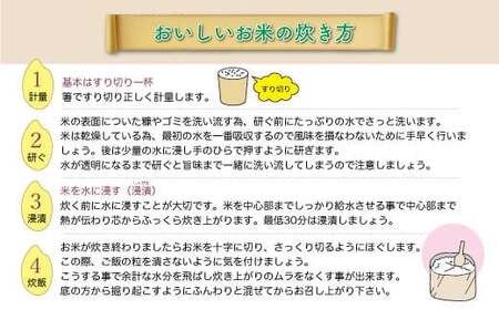 ＜令和7年産米＞ 令和8年8月中旬発送 こしひかり 【無洗米】 5kg （5kg×1袋） 山形県真室川町　◆RR7K05M-M2608B
