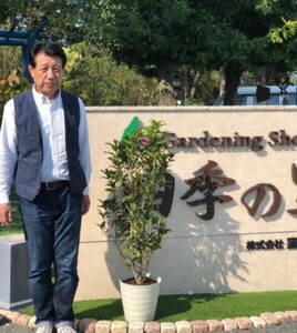 苗木 キンモクセイ 鉢植え 白プラ鉢 植物 ガーデン インテリア ※配送不可:北海道、沖縄、離島 