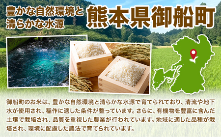 玄米 5kg さこんたろう《90日以内に発送予定(土日祝除く)》熊本県 御船町 コメ おこめ ごはん 熊本県産