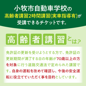 小牧市自動車学校の高齢者講習2時間講習(実車指導有)チケット ［186A01］ 小牧市自動車学校 高齢者 講習 2時間講習 実車指導有 チケット 1枚 認定高齢者講習 座学 適性検査 コース走行 高齢者ドライバー 免許更新 交通安全 安全運転 自動車学校 高齢者講習認定教育 愛知県 小牧市 送料無料