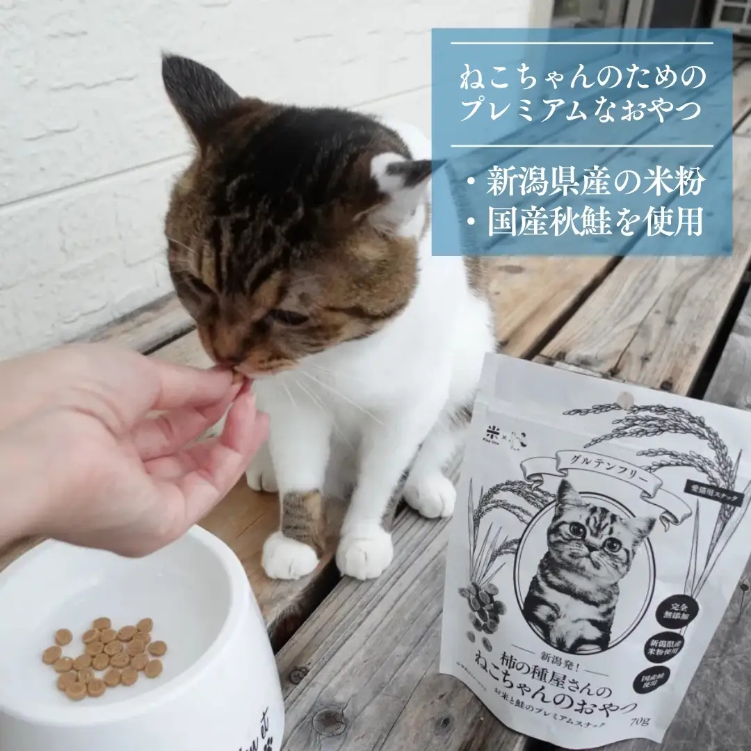 柿の種屋さんのねこちゃんのおやつ　お米と鮭のプレミアムスナック10個セット 阿部幸製菓【0002-0387-01】