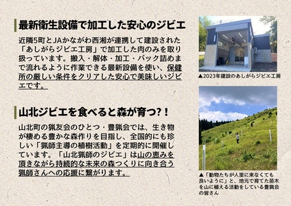 【貸切キャンプ】山北町産ジビエ肉(鹿肉)１ｋｇ付き・ペガススの家【１泊２日・７名】【 体験 チケット 旅行 キャンプ アウトドア 神奈川県 山北町 】
