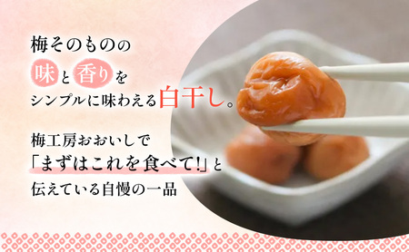 【定期便12ヶ月】八房梅使用 ごはんがおいしい！白干し梅 500g×2パック 梅干し うめぼし 白干し 塩漬け おにぎり 弁当 島田市 静岡県