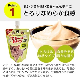 【隔月6回 定期便】とろーりおやつ 猫用（毛玉ケアに配慮 ツナ＆かつお節味）140g×48個 _ 定期便 隔月 全6回 とろーりおやつ 猫用 140g × 48個 × 6回 ツナ＆かつお節味 毛玉ケア 液状タイプ とろりなめらか食感 おやつ 水分補給 低カロリー 体重管理 長期保存 キャップ付き スパウトパウチ 福岡県 久留米市  〔Tk099-02〕
