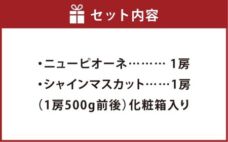 ニューピオーネ1房・シャインマスカット1房（1房500g前後）合計約1kg 2房 ぶどう 葡萄 ブドウ マスカット セット 詰め合わせ フルーツ 果物 【2026年8月下旬～10月上旬迄順次発送予定】
