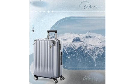 NEWTRIP0201p　スーツケース　シルバー　Lサイズ　【11100-2021】