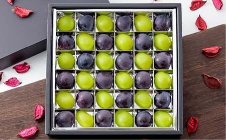 ぶどうの宝石箱（シャインマスカットとニューピオーネ又はオーロラブラック）36粒（1粒14g以上）1箱 贈答用 ぶどう 葡萄 ブドウ マスカット セット 詰め合わせ フルーツ 果物 【2026年8月下旬～9月下旬まで順次発送予定】