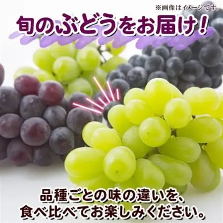 【2026年先行受付】訳あり ぶどう 房 2種 食べ比べ 計2パック(計800g以上) 信州丸幸農園【配送不可地域：離島・沖縄県】【1671026】
