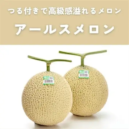 糖度13度以上!茨城県産 アールスメロン 2玉入り【先行受付　2026年9月上旬以降順次発送】【配送不可地域：離島・北海道・沖縄県・中国・四国・九州】【1686252】