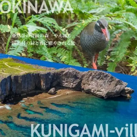 沖縄ツアー 沖縄本島最北やんばる国頭村 後から選べるWebカタログ旅行クーポン(60,000円分)【1684159】