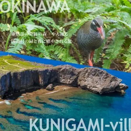 沖縄ツアー 沖縄本島最北やんばる国頭村 後から選べるWebカタログ旅行クーポン(90,000円分)【1684161】