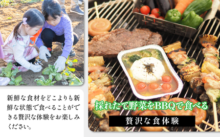 手ぶらでOK!THE FARMの旬の野菜収穫体験引換券(1袋) TFM005