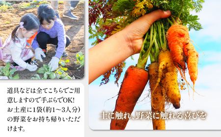 THE FARMで収穫体験&採れたて新鮮野菜をBBQで食べる贅沢な食体験(2名様) TFM006