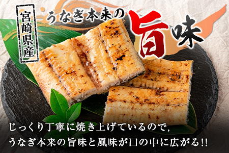 「こだま鰻」宮崎県産 うなぎ白焼き（1尾）200g以上 国産 真空パック【B661】