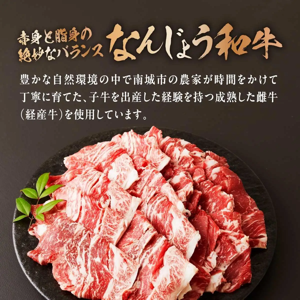  和牛切り落とし 200g×4パック なんじょう和牛 合計400g   