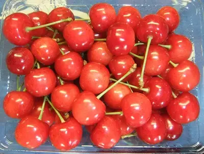 さくらんぼ（佐藤錦）５００ｇ　ご家庭用　0112-2609