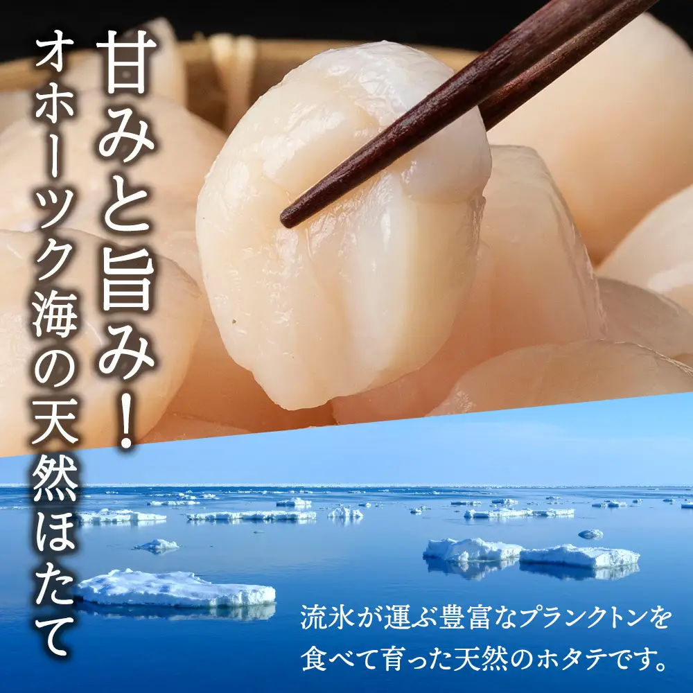 浜頓別一等 ホタテ貝柱 1.1kg
