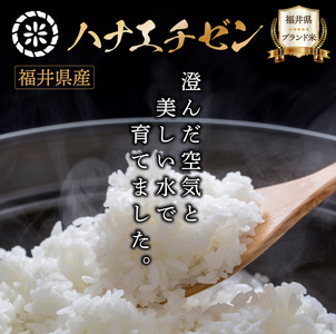 【定期便3回】ハナエチゼン 玄米 10kg（10kg×1）令和7年産 [095-t3-a008]