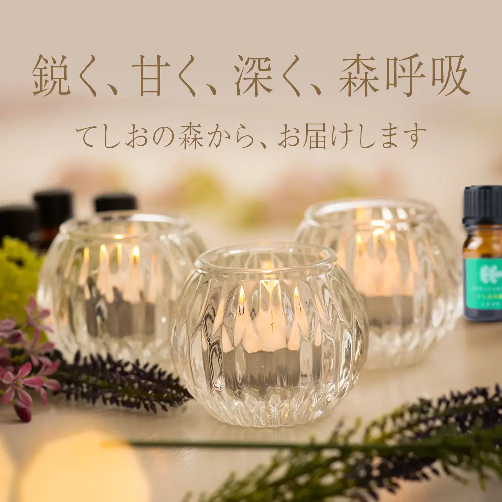 最北のトドマツ精油４ml エッセンシャル・オイル トドマツ ×3
