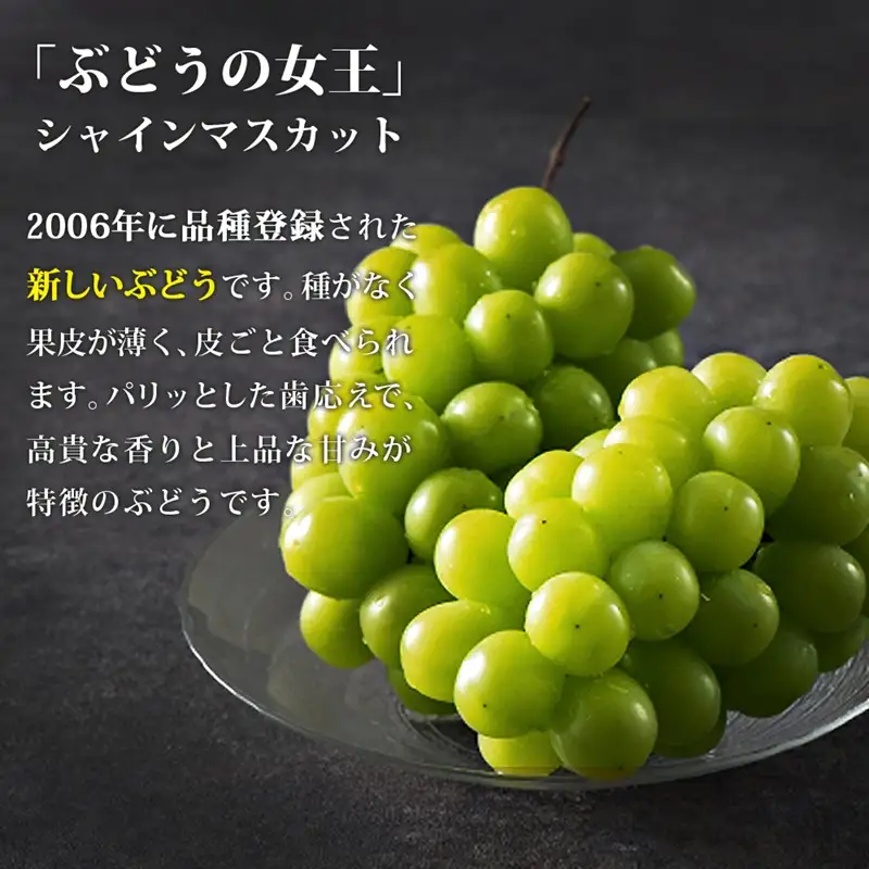 シャインマスカット4-6房(約2kg)＜2026年8月中旬から発送開始分先行予約＞【B6-028】