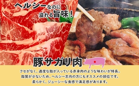 塩ダレ豚サガリ 200g×4袋 豚肉 焼肉 ヘルシー サガリ肉 酒のお供 おつまみ おかず 白米 冷凍 焼くだけ簡単 一人暮らし 真空パック お取り寄せグルメ お肉屋 たどころ 送料無料 北海道 洞爺湖町