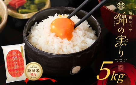 魚沼産コシヒカリ ブランド認証米「錦の実り」特AランクとAランク 食べ比べ10kg(5キロ2袋) | 新潟県 魚沼 令和7年