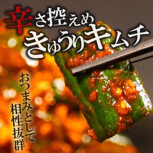 【 旨辛 】 胡瓜キムチ 500g オイキムチ 冷蔵 手作り かわち屋