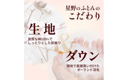 【カバー付き ネイビー】羽毛ふとん ポーランドダックダウン85％ クイーン | 寝具 布団