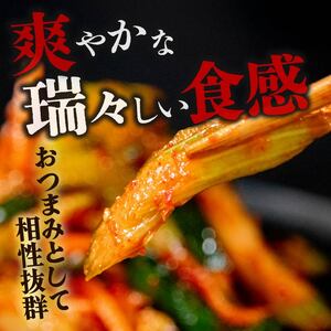 【 旨辛 】 セロリキムチ 900g 冷蔵 手作り かわち屋